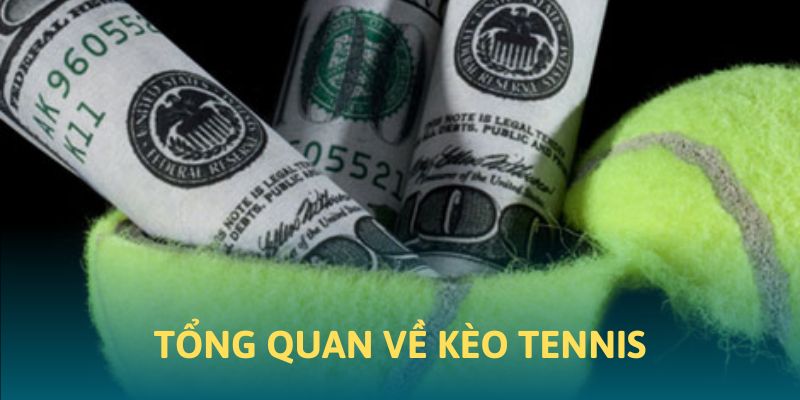 Tổng quan về kèo tennis tại 88CLB Tổng quan về kèo tennis tại 88CLB