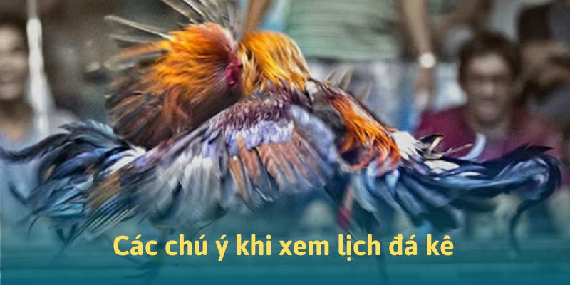 Những chú ý khi xem lịch đá kê tại 88CLB Những chú ý khi xem lịch đá kê tại 88CLB